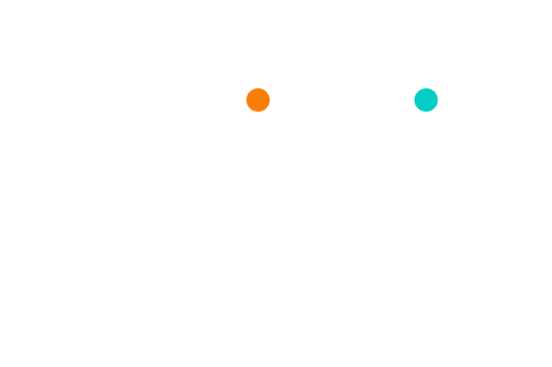 Bizi Logo Negro